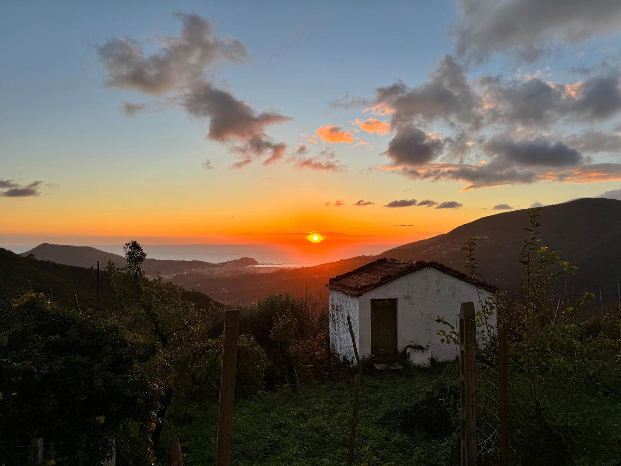 La Collina Sul Mare - Casa Vacanze Sestri Levante Exterior photo